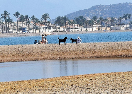 Playa de Las Moreras